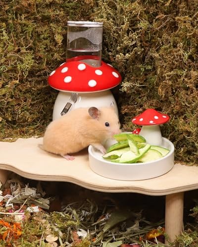 Niteangel Hamster Snack & Treats Toy: Freeze-Dried Zucchini & No Additive