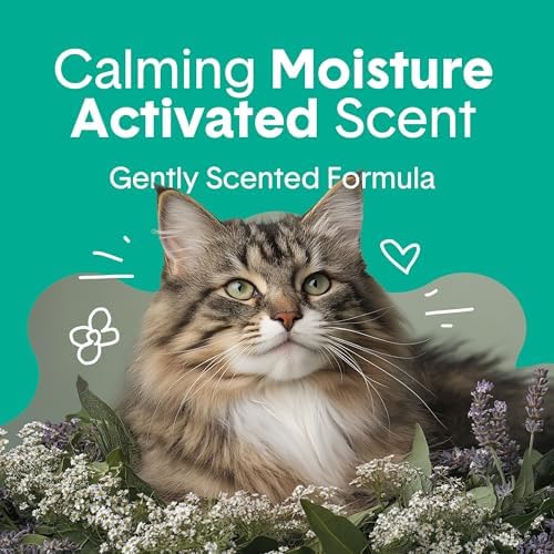 Boxie Premium Scented Clumping Cat Litter 30+ Day Odor Control 40 lb