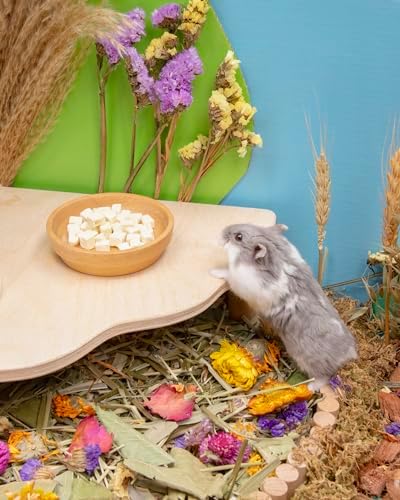 Niteangel Hamster Snack & Treats Toy - Freeze-Dried Tofu No Additive