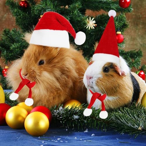 FOIMAS 12pcs Christmas Pet Chicken Hat Scarf Set Small Animal Hat Costume Set for Hen Duck Hamster Guinea Pig Rabbit Kitty Puppy Parrot Lizard Xmas Party Supply