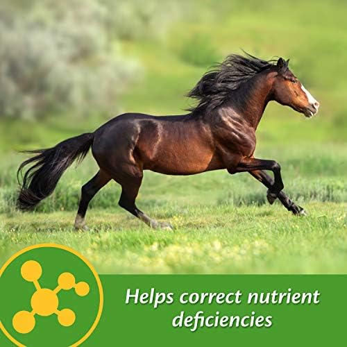 Farnam Vita-Min E & Selenium Antioxidant Supplement for Horses, Horse Vitamin E Supplement, Muscle Health and Peak Condition, 3 lb, 96 Day Supply