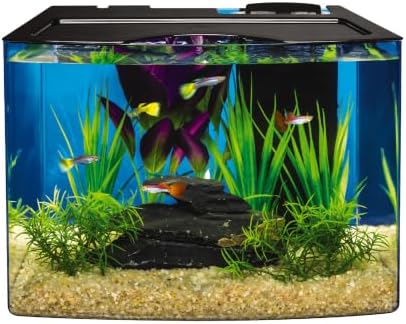 Tetra STEM 3 Gallon Fish Tank Kit with Activities for the Classroom or Home