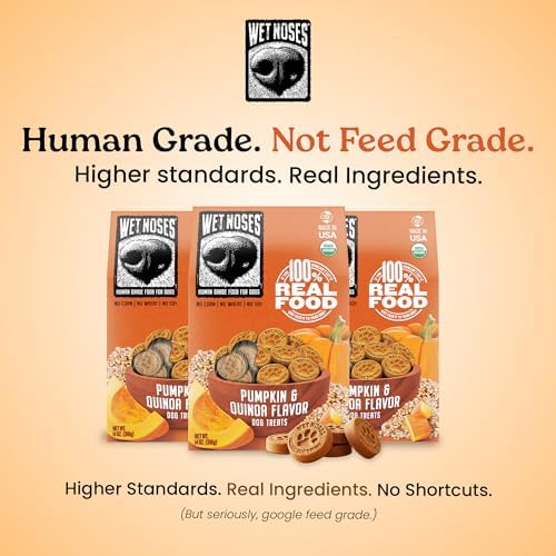 Wet Noses Organic Crunchy Dog Treats – All-Natural, Human-Grade, Non-GMO, Healthy Training & Delicious Snacks for Dogs, for All Dog Sizes & Breeds – Grain Free Pumpkin & Quinoa, 5lb (Single Pack)