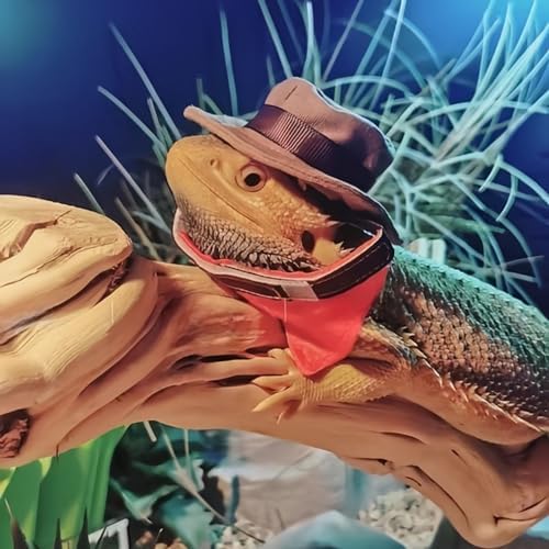 Bearded Dragon Cowboy Costume - Adjustable Lizard Cowboy Hat and Bandana Scarf Reptile Halloween Costume Photo Props for Gecko Chameleon Amphibians Ferret Hamster (Brown)