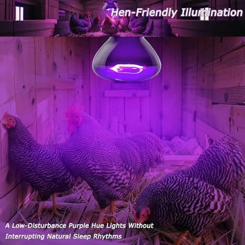 Reptile Moonlight Bulb, 75W Gentle Night Light for Terrariums