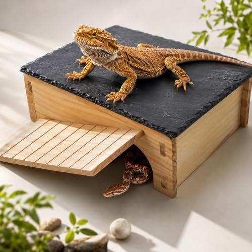 Bearded Dragon Basking Platform & Hideout, Natural Slate Rock Reptile Hide