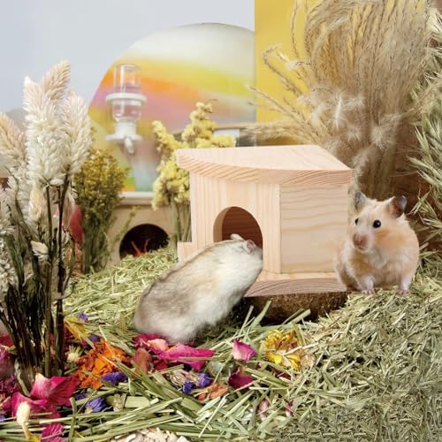 Joyzan Hamster Hideout Wooden House, Chamber Mouse Playing Hiding Chewable