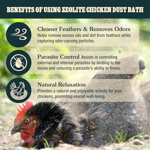 Zeolite Chicken Dust Bath, 24 lb, Natural Mineral Dust Bath for Chickens