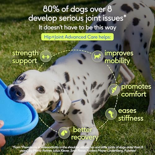 Native Pet Hip and Joint Supplement Dogs - Powder with UC-II Collagen and HMB - Senior and Large Breed Dog Joint Support - Made in USA - 30 Scoops