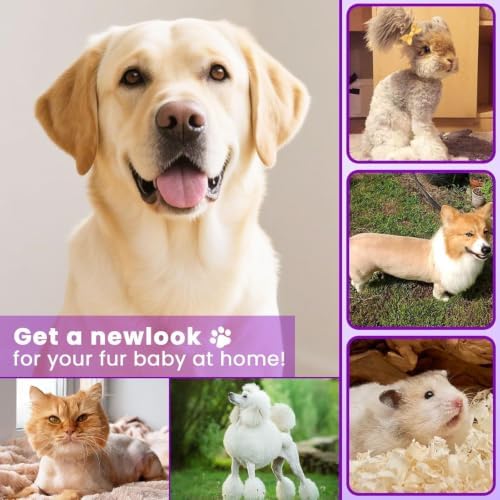 Veeconn 4-in-1 Dog Clippers for Grooming Kit - 45dB Quiet 150-Min Run Non-Slip Grip (Lavender)