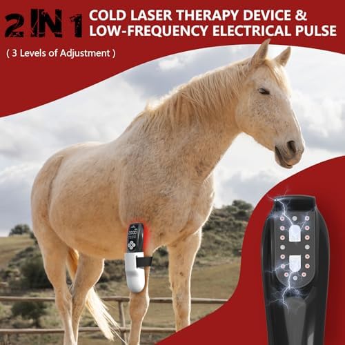 Cold Laser Therapy Device for Horse, Portable Red Light Therapy with 4pcs 808nm and 12pcs 650nm, Near Infrared Laser for Arthritis Pain Relief- Stimulation for Tendon, and Ligament Recover