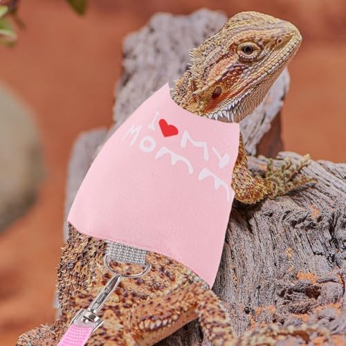 Small Animal Travel Backpack Carrier,Portable Bearded Dragon Bag for Sugar Glider,Hedgehog,Rat,Bunny,Rat,Outdoor Used (Pink, Carrier L+ I Leash)