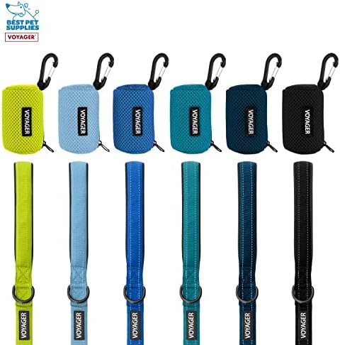 Best Pet Supplies Dog Poop Bag Holder Leash Attachment with Reusable Dispenser for Travel, Walking, Park, and Outdoor Use, Durable with Clip-On - Red, Pack of 2, Mesh Dispenser w/30 Bags