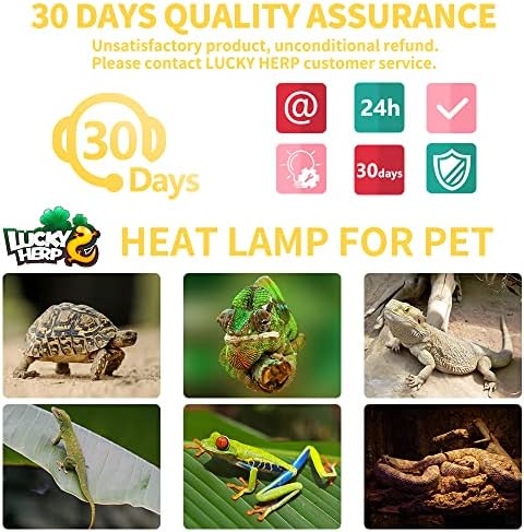 LUCKY HERP New Upgrade 75W Reptile Heat Lamp Bulb (3rd Gen, Safer), Amphibian Basking Spot Light Bulb, UVA Reptile Daylight Bulb for Turtle, Bearded Dragon, Lizard Heating Use (2 Pack)