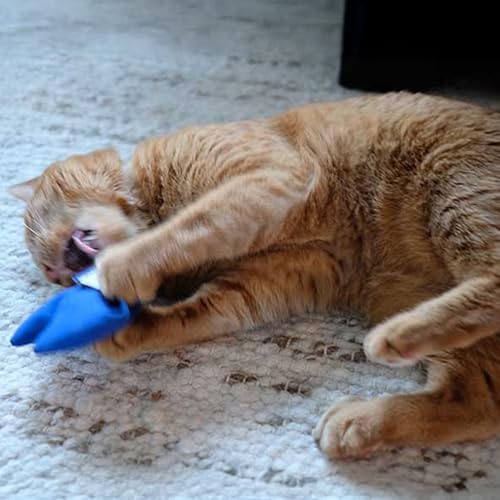 Americat Company 2-Pack Catnip Toys Made in USA Cat & Heart Plush Toys Filled with Organically-Grown Catnip