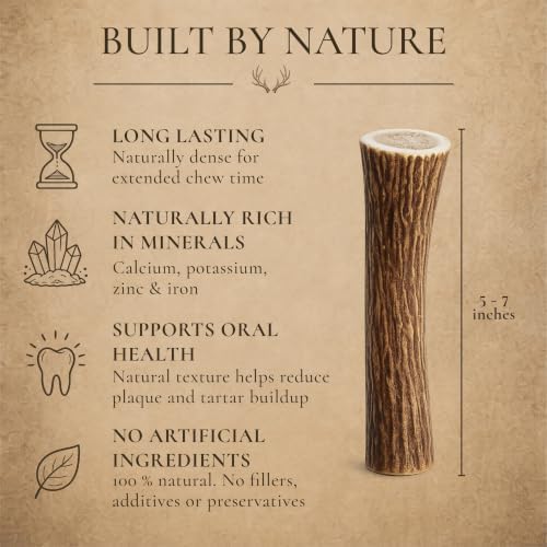 Whitetail Naturals 3 Pack Whole Deer Antlers for Medium Dogs, 5-6 Inch