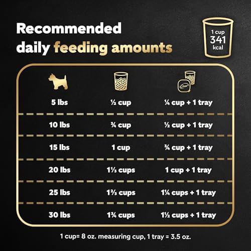 Cesar Small Breed Dry Dog Food, Porterhouse and Spring Vegetables, 5 lb