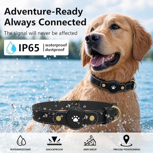 GPS Tracker for Dogs – Smart Dog Collar & Pet Tracker with Real-Time Location, No Monthly Fee, Unlimited Range (iOS & Android) – Fits Small to Large Dogs(Locator Included)