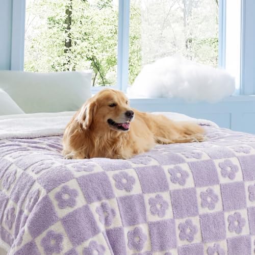 LE SURE Waterproof Blanket for Bed Cute Cozy 3D Jacquard, Twin(60x80)