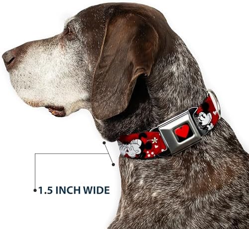 Buckle-Down Seatbelt Buckle Dog Collar, Mickey Minnie Hugs & Kisses, Small