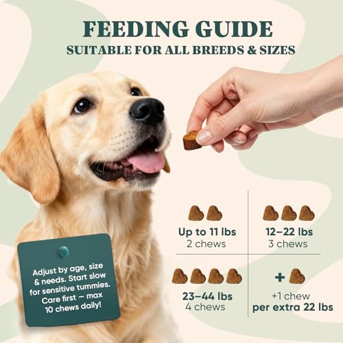 Dog Allergy Chews Omega 3 is Human,Itch Relief Multivitamin Medicine for Dogs Itching Skin Relief and Aller Immune Pet Allergy Dog Anti Itch Chews Pills Meds Medicine for Dogs Chicken Flavor