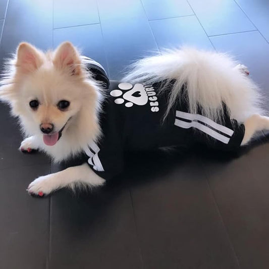 Dog Hoodie Security Clothes 4 Legs Jumpsuit Sweatshirt Hoodies Soft & Warm Dog Outfit Pullover Dog Winter Clothes Sweater for Small Medium Large Dogs Cats (Black, XX-Small)