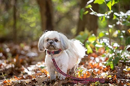 Pets First Collegiate Pet Accessories, Dog Leash, Mississippi Ole Miss Rebels, Small (Pack of 2)