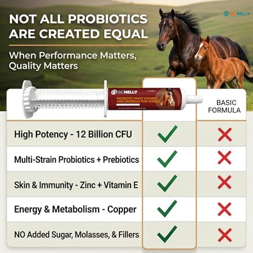 OL' NELLY Equine Probiotic Paste | Supports Equine Gut Health, Hindgut, Digestion, Immune Support, Energy, Coat & Hooves,12 Billion CFU Multi-Strain + Prebiotic, Vitamins & Minerals 80cc Syringe