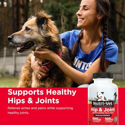 Nutri-Vet Hip & Joint Dog Supplement, 500mg Glucosamine, 75 Count
