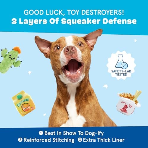 BarkBox Chewz Ballz Dog Toy - 3-in-1 - for Medium to Large Dogs