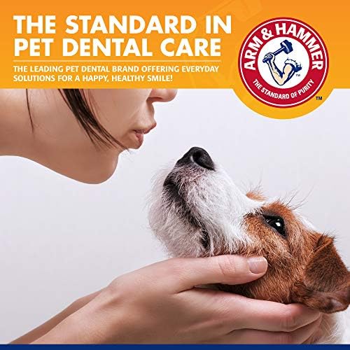 Arm & Hammer Tartar Control Dog Dental Kit, Beef Flavor, 3-Piece, 48-Pack