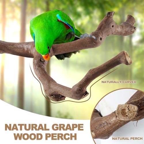 LIMIO 6-Piece Bird Perch Set - Natural Wood Grape Sticks, Paw Grinding Forks, Bird Stand & Toys for Parakeets, Cockatiels, Conure, Budgies