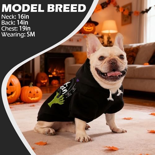 EXPAWLORER Dog Hoodies for Small Medium Large Dogs,Halloween Theme Black M