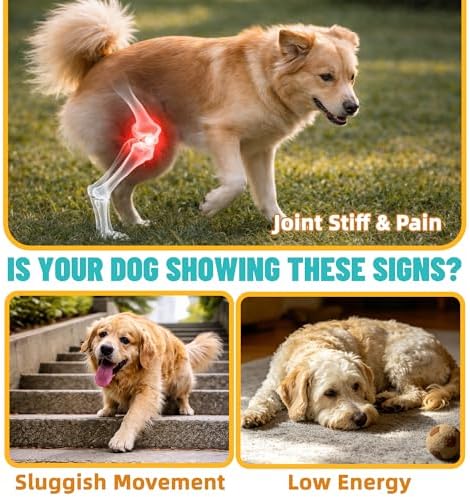 Just Try Green-Lipped Mussels Hip & Joint Powder for Dogs