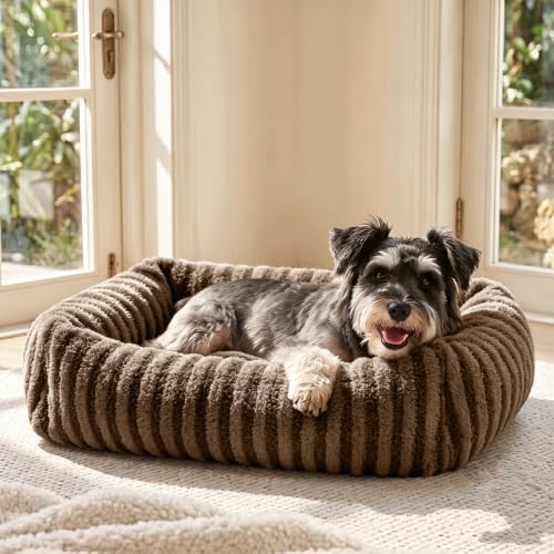 MIXJOY Dog Bed for Medium Small Size Dog, Washable Medium Dogs Bed with Removable Cover, Rectangle Doggy Ded Fluffy Plush Faux Fur Pet Bed with Anti-Slip Bottom, 25"x21"x7",Brown