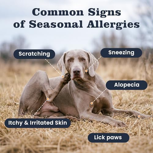 Dog Allergy & Immune Chews 300 Treats, Itching Skin Relief Chews Omega 3 Fish Oil Probiotics for Seasonal All Issues Allergies Skin & Hair, Gut, Immune-All Ages & Sizes Dogs Made in USA Chicken Flavor