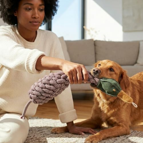Crinkle Duck Rope and Chew Bird Dog Toy, Large Size, Brown