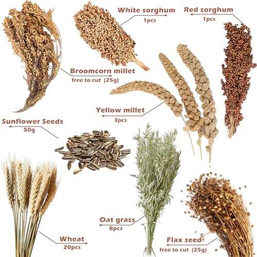 Natural Ear of Grain Flower&Herb Bedding Mate Habitat Decor, Adding Fun Hamster Accessories for Hamsters Gerbils Lemming