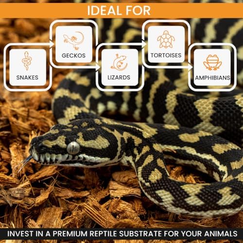 BabiChip Coconut Chip Substrate for Reptiles 12 Quart Loose Small Sized Coco Husk Chip Bedding for Ball Pythons, Other Snakes, Tortoises, Geckos, Frogs, or Lizard Terrarium Tanks