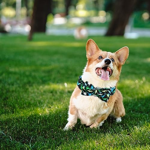 Cool Black Dinosaur Print Dog Collar with Bow for X-Small Dogs