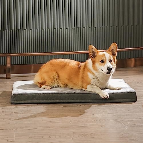Amazon Basics Washable Dog Bed with Cooling Gel Memory Foam, Pressure-Relief Support for Dogs up to 50lbs, Non-Slip Bottom, Removable Cover, Large (35" x 22"), Grey