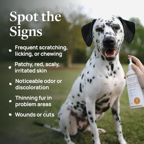 Veterinary Formula Clinical Care Antiseptic & Antifungal Shampoo + Spray