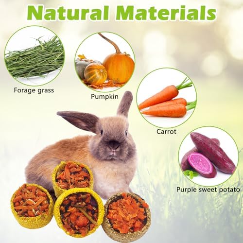 Apatal12 Pcs Rabbit Chew Toys Guinea Pig Treats
