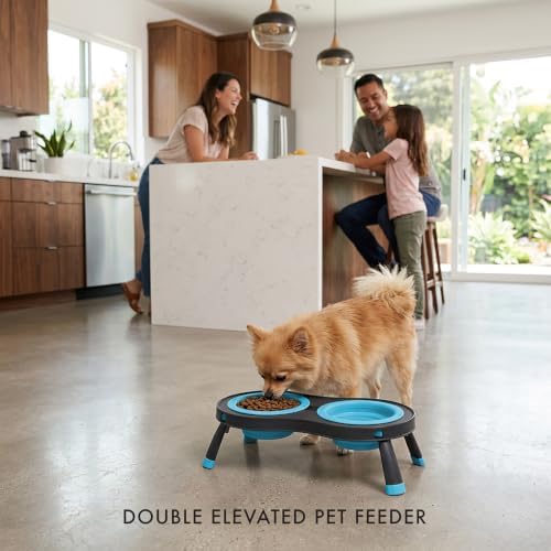 Dexas Pets Elevated Double Pet Feeder, Small, 1 Cup Capacity Bowls, Blue, Raised Pet Food and Water Bowls
