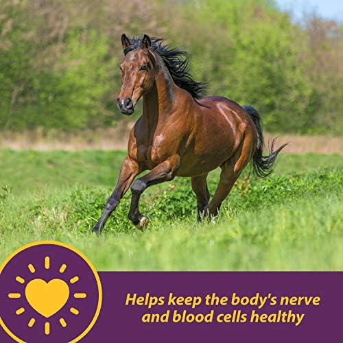 Horse Health Vita B-12 Crumbles Vitamin Horse Supplement, 3 lbs