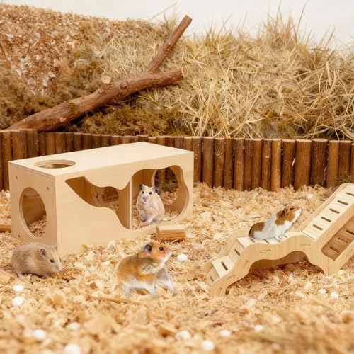 Hamster Hideout & Tunnel Set, 2Pcs Wooden House with Climbing Ladder, Exploration Tubes & Observation Shed for Syrian Hamsters, Dwarf Hamsters, Mice, Gerbils, Rats, and Other Small Animals