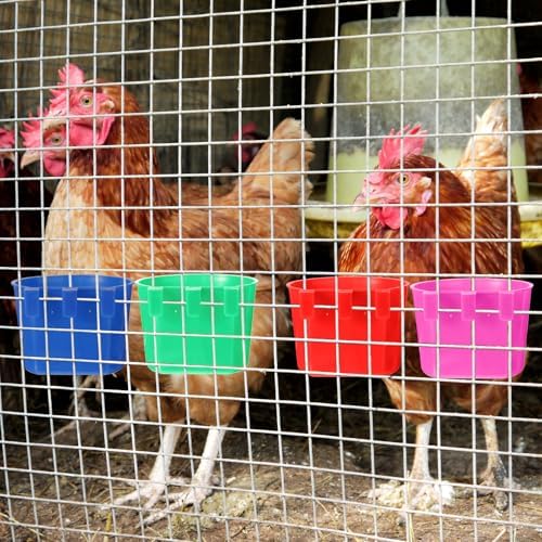 Ctosree 100 Pcs Cage Cups 8 oz Chicken Feeder, Blue, Red, Rose Red, Green