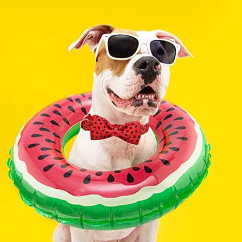 Lionheart glory Dog Collar, Watermelon Dog Collar with Bow, Summer Dog Bowtie Collar Cute Pet Collar Gift for Small Dog