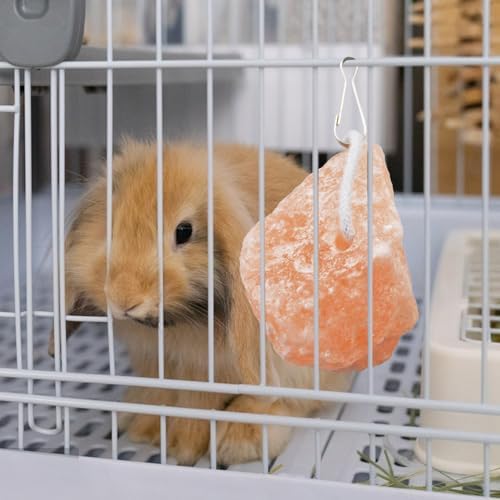 kathson Small Animal Himalayan Salt Lick Block Rabbit Salt Blocks Natural Mineral Salts Chew Treat Supplies for Bunny Hamsters Chinchilla Squirrels Guinea Pig Ferret (6 PCS)