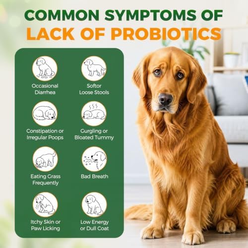 Probiotics for Dogs, 6-Strain Gut Health Blend with Digestive Enzymes, Pumpkin & Papaya, Chicken Flavor Chewable Tablets, 200 Count, Supports Digestive Health for All Breeds